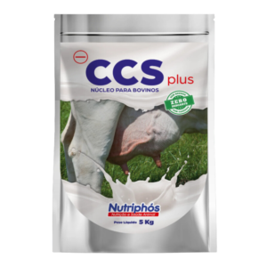CCS Plus