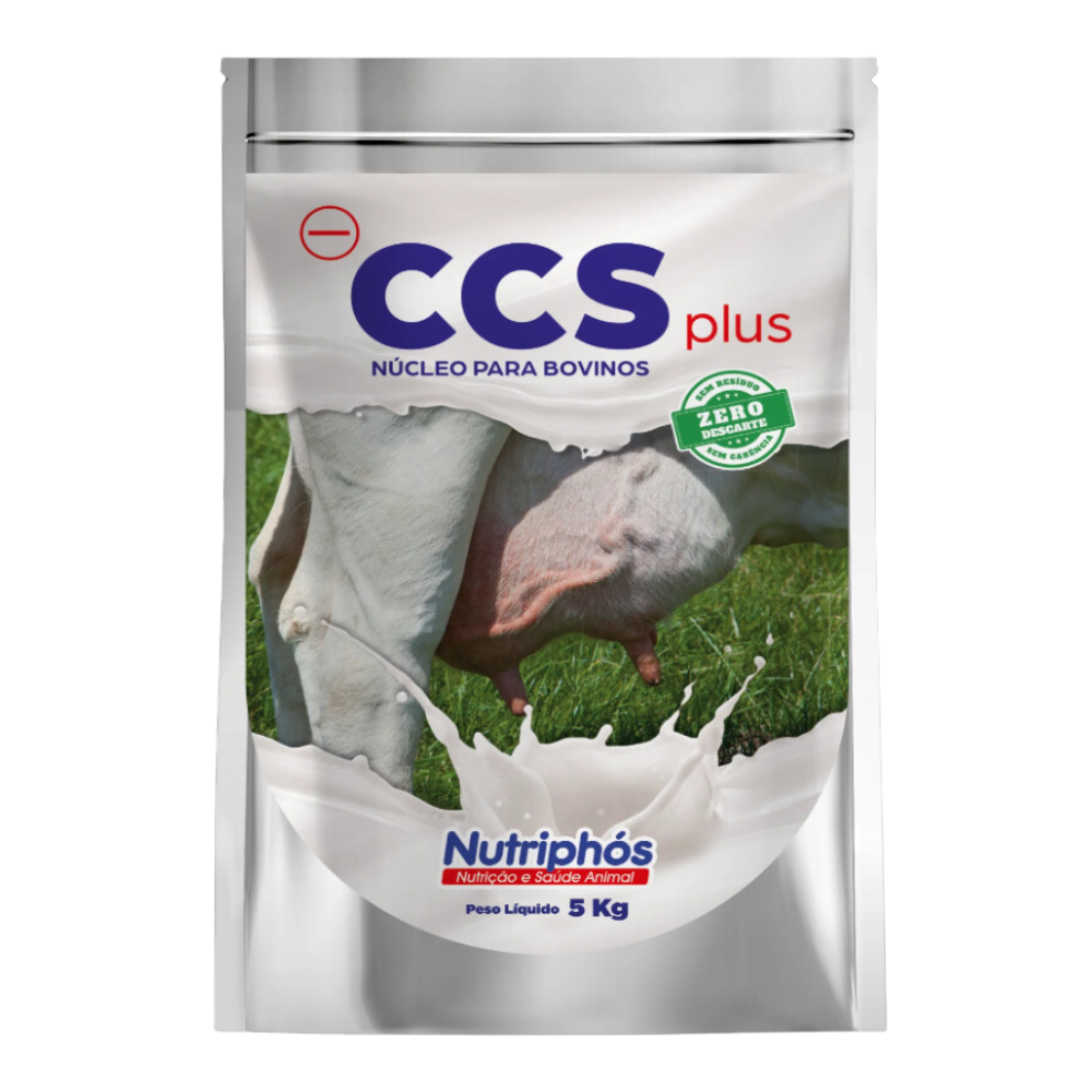 CCS Plus